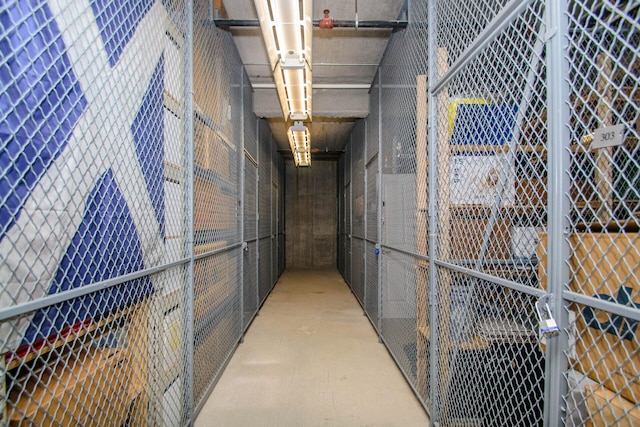 827 Asa Gray Dr Unit 257, Ann Arbor, MI 48105 - view of storage room