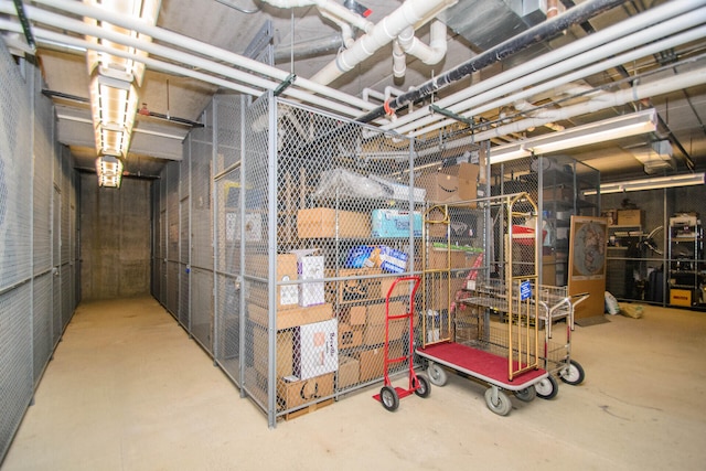 827 Asa Gray Dr Unit 257, Ann Arbor, MI 48105 - view of storage