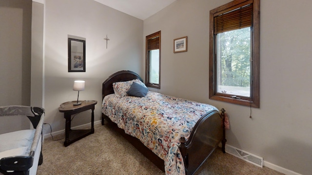 16035 Walnut St, Buchanan, MI 49107 - bedroom with carpet floors and baseboards