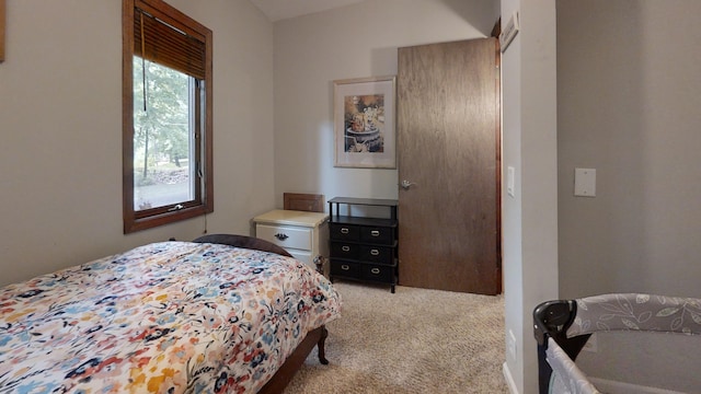 16035 Walnut St, Buchanan, MI 49107 - bedroom with light carpet