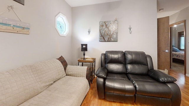 16035 Walnut St, Buchanan, MI 49107 - living area featuring wood finished floors