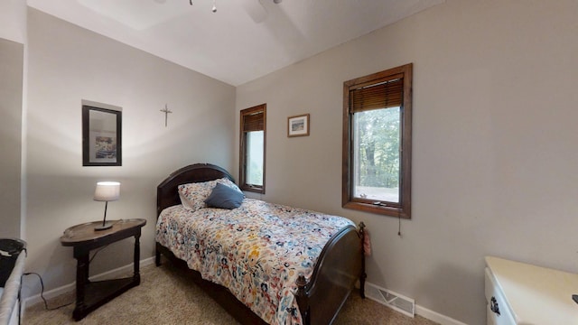 16035 Walnut St, Buchanan, MI 49107 - carpeted bedroom with baseboards and ceiling fan