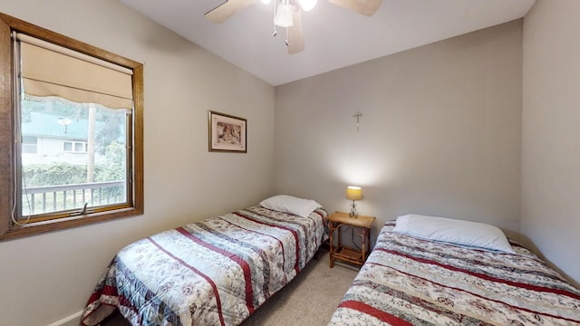 16035 Walnut St, Buchanan, MI 49107 - bedroom featuring light colored carpet and ceiling fan