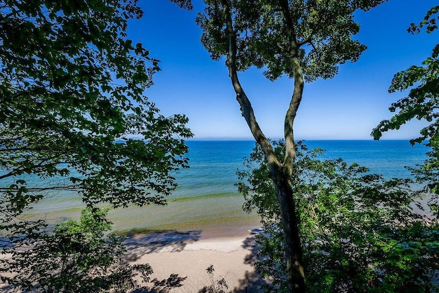 7443 W Roosevelt Rd, Montague, MI 49437 - photo 41