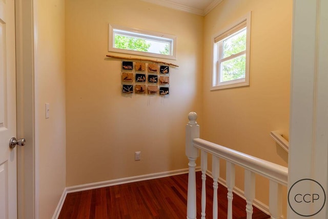 7443 W Roosevelt Rd, Montague, MI 49437 - photo 22