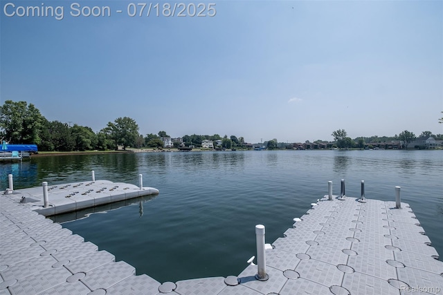 11473 Bay Shore Dr, Fenton, MI 48430 - photo 83