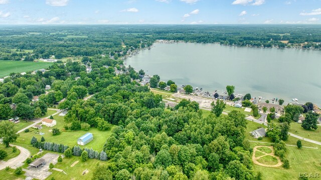 1100 Elm St, Manitou Beach, MI 49253 - photo 8
