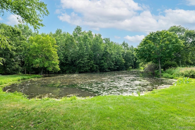 40633 Azalea Dr, Clinton Township, MI 48036 - photo 34