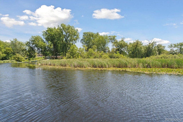 319 Angola St, Wolverine Lake, MI 48390 - photo 48