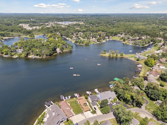 319 Angola St, Wolverine Lake, MI 48390 - photo 58