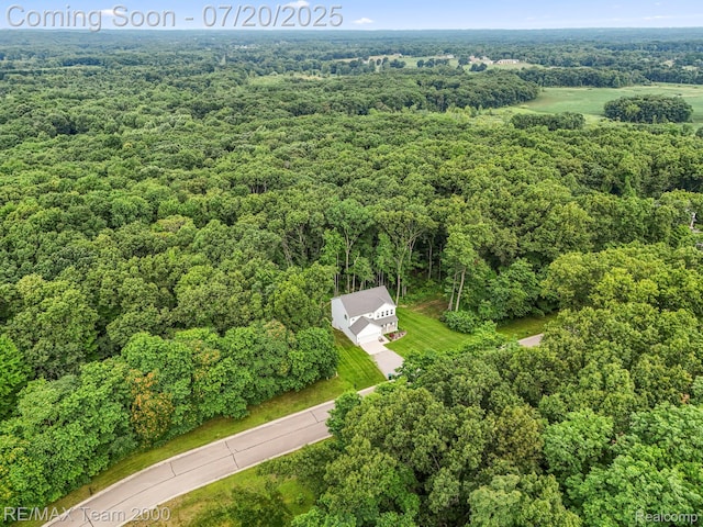 16255 Catalpa Way, Holly, MI 48442 - photo 56