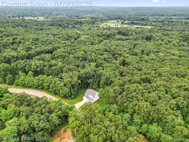 16255 Catalpa Way, Holly, MI 48442 - photo 60