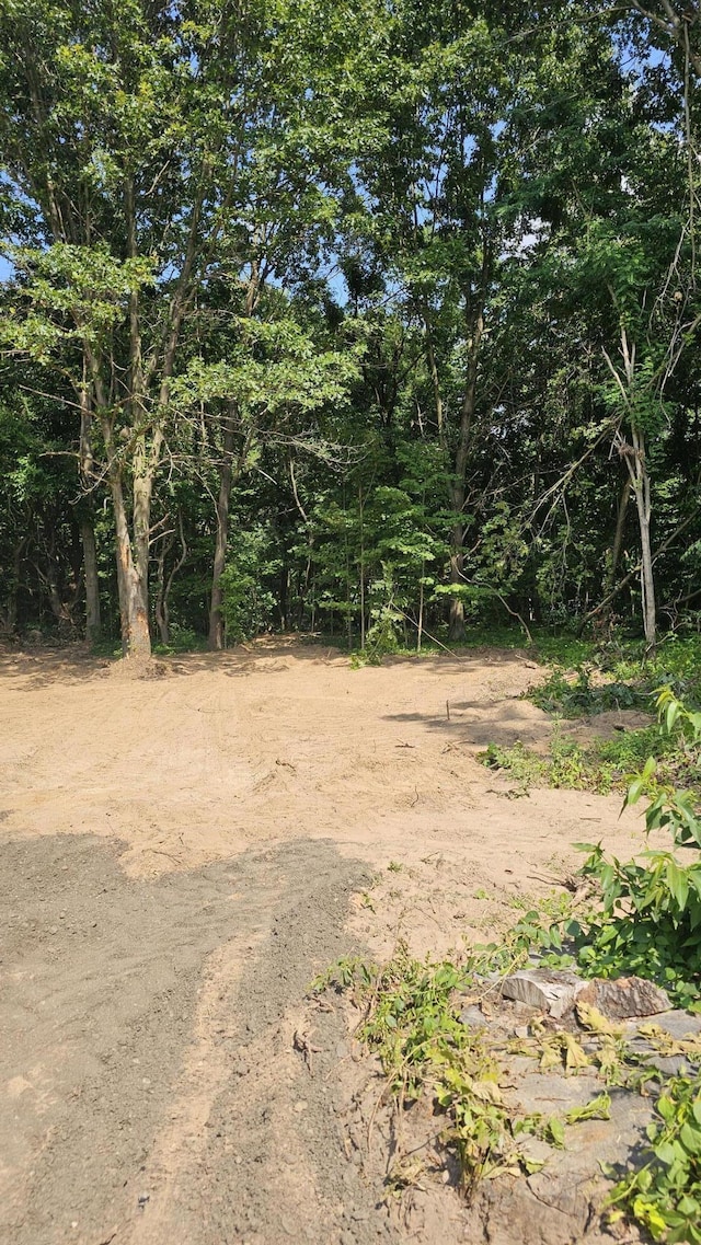 57907 James, Three Rivers, MI 49093 - view of local wilderness