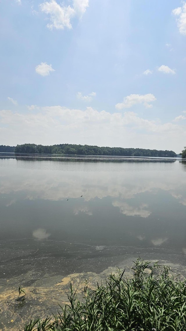 57907 James, Three Rivers, MI 49093 - water view
