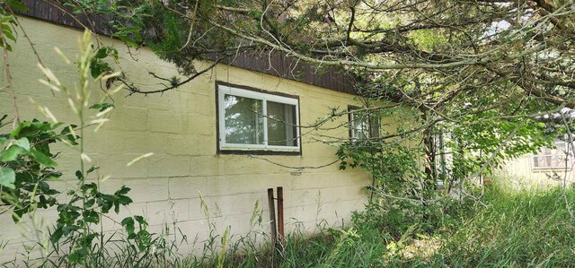 3282 N 7 Mile Rd, Lake City, MI 49651 - photo 26