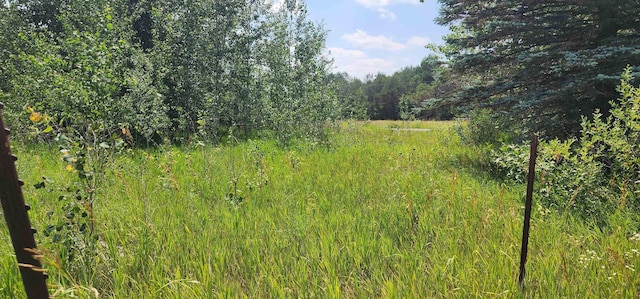 3282 N 7 Mile Rd, Lake City, MI 49651 - photo 28