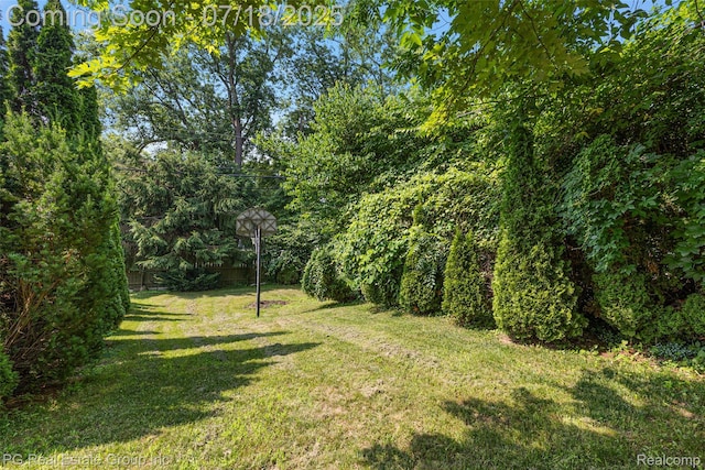 7811 Caberfae Trl, Clarkston, MI 48348 - photo 12