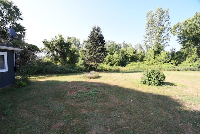 42910 46th St, Lawrence, MI 49064 - photo 20