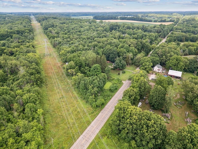 842 10th St, Plainwell, MI 49080 - photo 45