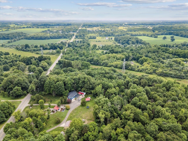 842 10th St, Plainwell, MI 49080 - photo 49