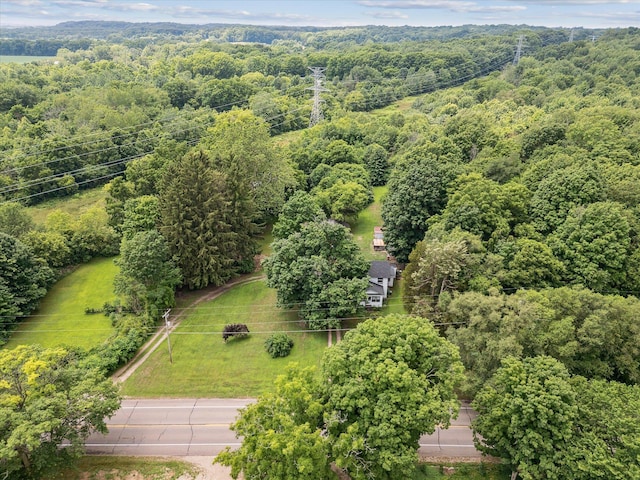 842 10th St, Plainwell, MI 49080 - photo 52