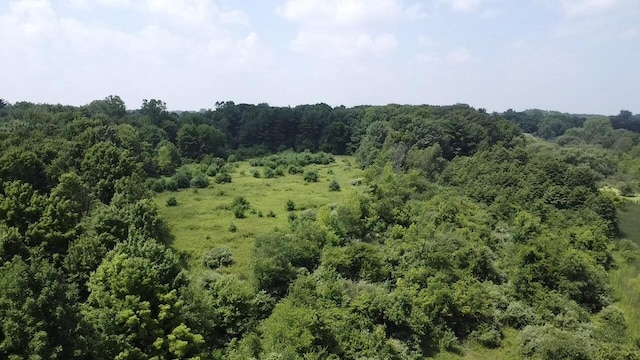 3345 Beach Rd, Port Huron, MI 48060 - photo 26