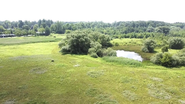 3345 Beach Rd, Port Huron, MI 48060 - photo 27