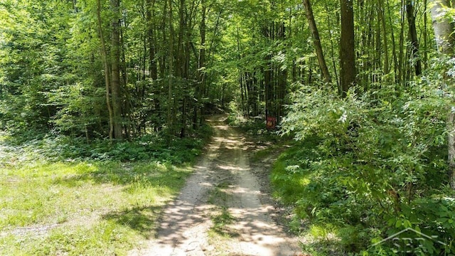10801 N Pine Grove Rd, Vestaburg, MI 48891 - photo 4