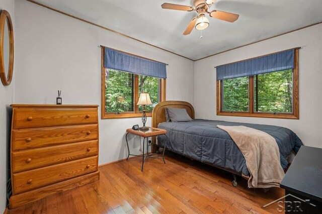 10801 N Pine Grove Rd, Vestaburg, MI 48891 - photo 16