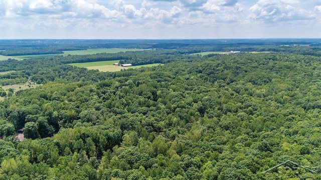 10801 N Pine Grove Rd, Vestaburg, MI 48891 - photo 20
