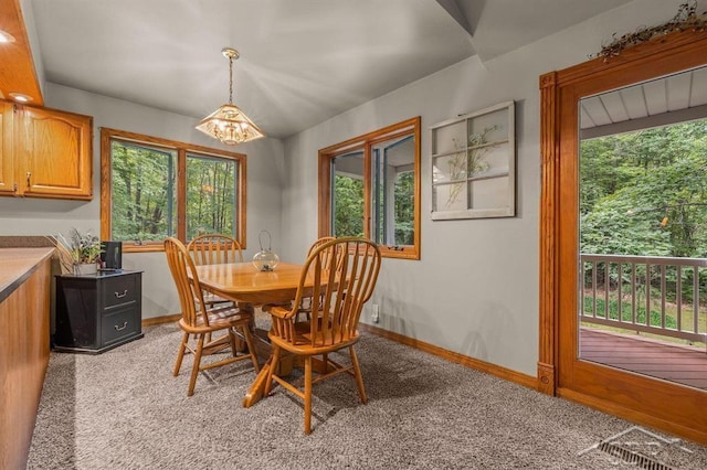 10801 N Pine Grove Rd, Vestaburg, MI 48891 - photo 30