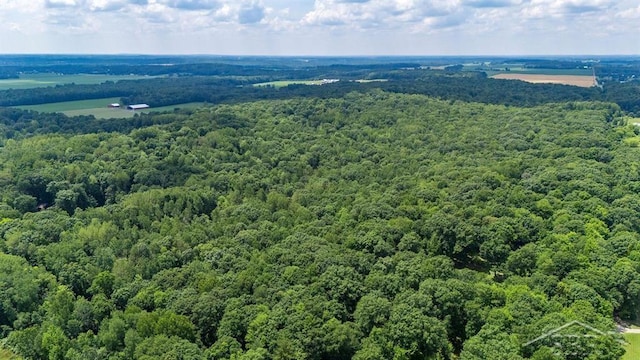 10801 N Pine Grove Rd, Vestaburg, MI 48891 - photo 41