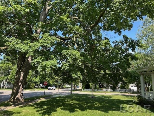 114 E Pottawatamie St, Tecumseh, MI 49286 - view of home's community