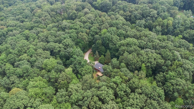 5849 Whispering Oaks Dr, Howell, MI 48855 - photo 49