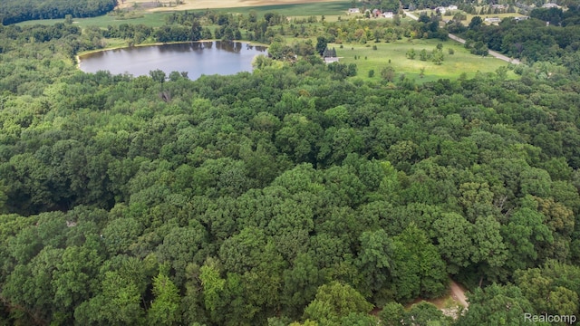 5849 Whispering Oaks Dr, Howell, MI 48855 - photo 46