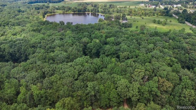 5849 Whispering Oaks Dr, Howell, MI 48855 - photo 45