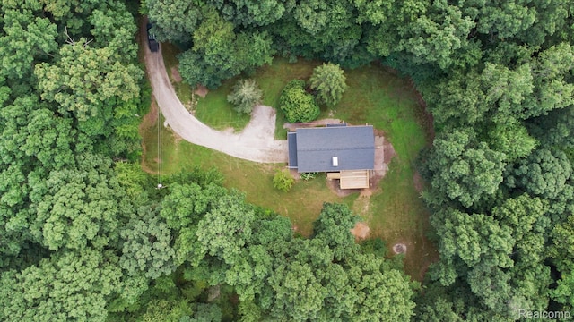 5849 Whispering Oaks Dr, Howell, MI 48855 - photo 54