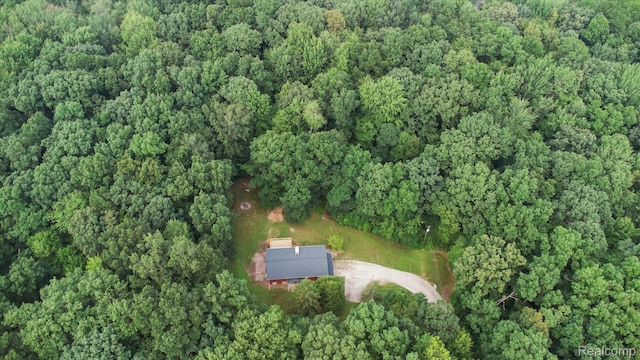 5849 Whispering Oaks Dr, Howell, MI 48855 - photo 56
