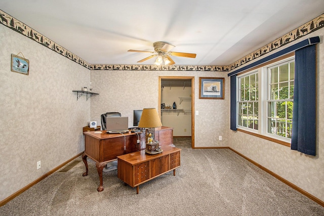 34522 Terrace Ct, Paw Paw, MI 49079 - photo 9