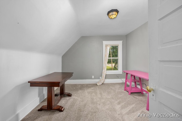 665 Capital Ave NE, Battle Creek, MI 49017 - photo 17