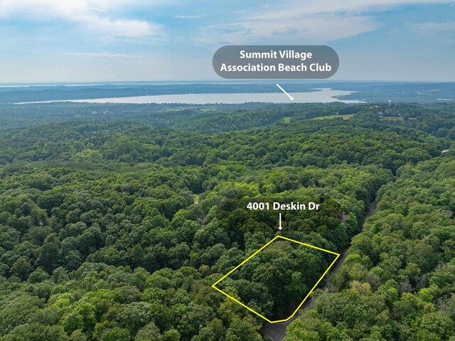 4001 Deskin Dr, Bellaire, MI 49615 - photo 25