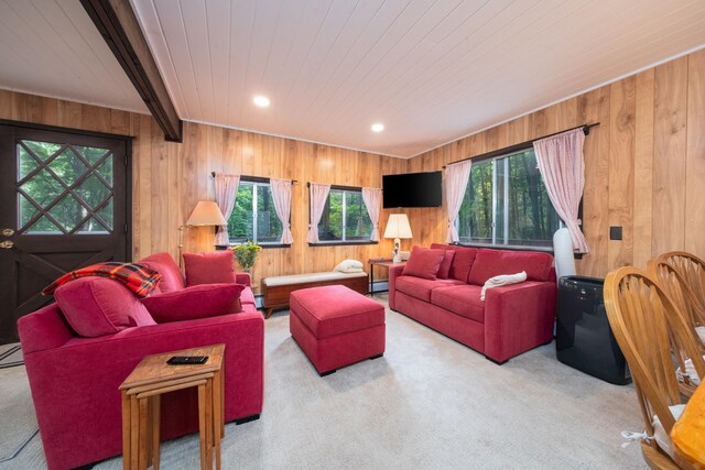 4001 Deskin Dr, Bellaire, MI 49615 - photo 12