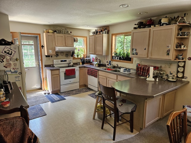 8523 E Shady Rdg, Howard City, MI 49329 - photo 15