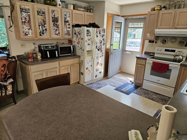 8523 E Shady Rdg, Howard City, MI 49329 - photo 16