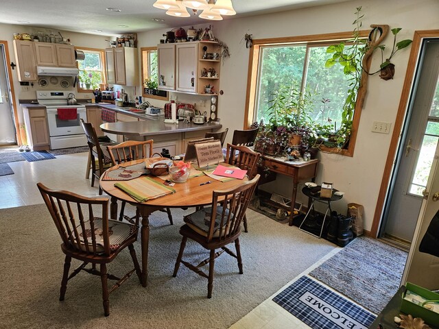 8523 E Shady Rdg, Howard City, MI 49329 - photo 17