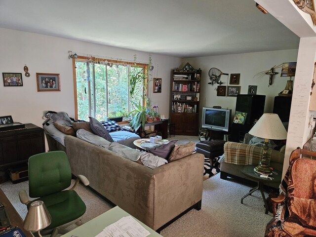 8523 E Shady Rdg, Howard City, MI 49329 - photo 13