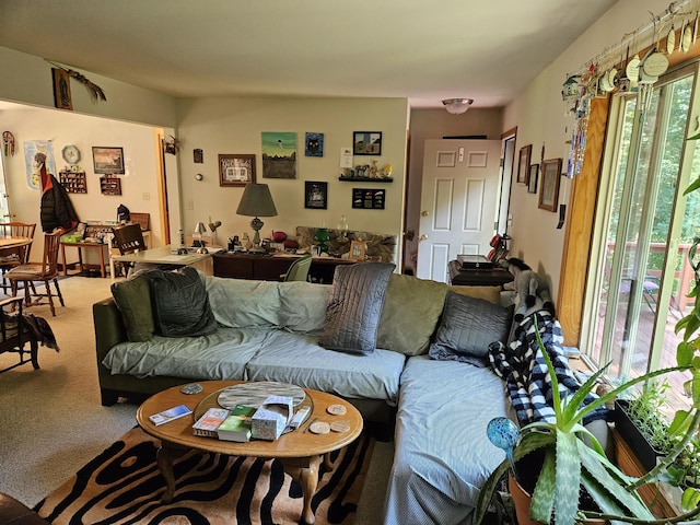 8523 E Shady Rdg, Howard City, MI 49329 - photo 14