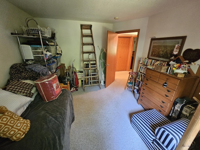 8523 E Shady Rdg, Howard City, MI 49329 - photo 29