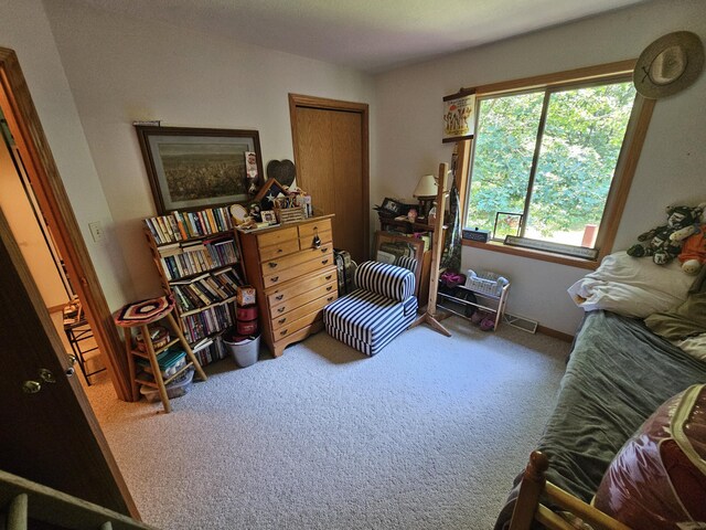 8523 E Shady Rdg, Howard City, MI 49329 - photo 27