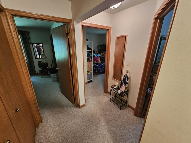 8523 E Shady Rdg, Howard City, MI 49329 - photo 26